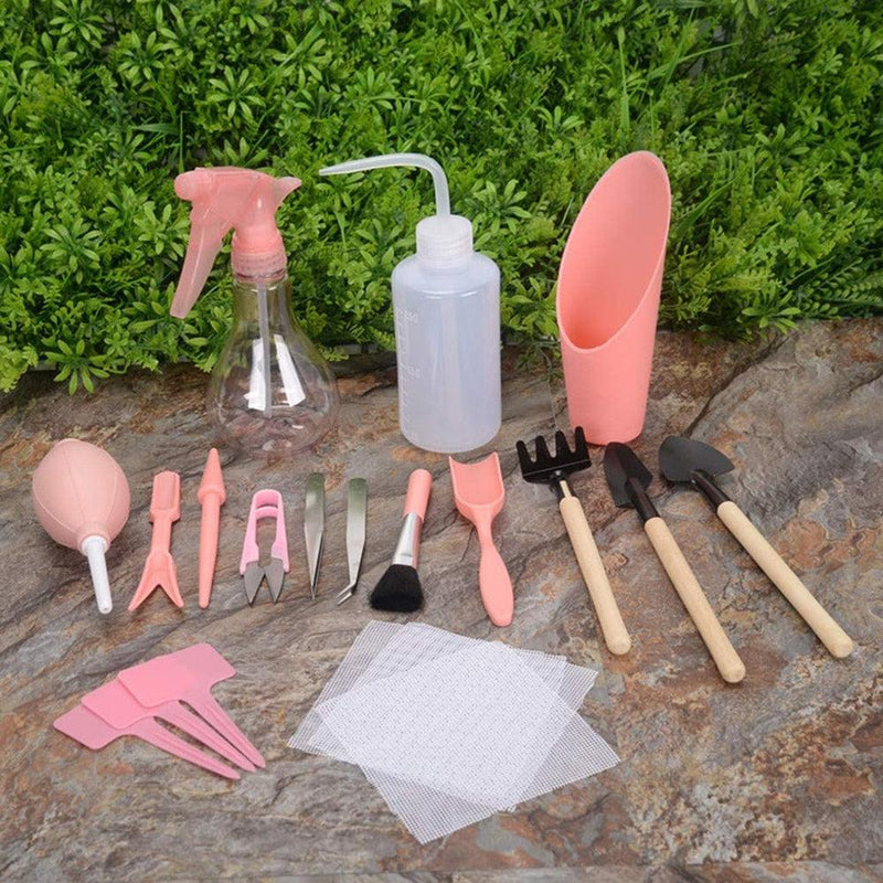 Kit de jardinagem para suculentas 12 peças - All Essentials