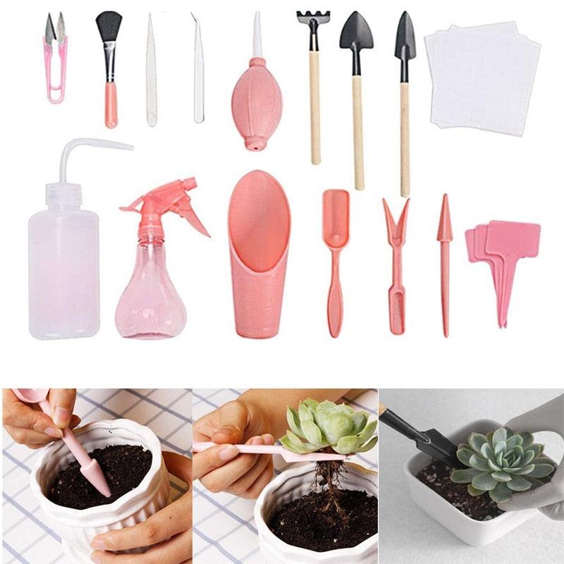 Kit de jardinagem para suculentas 12 peças - All Essentials